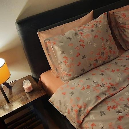 Apartment Kapo- Klima,Parking سراييفو المظهر الخارجي الصورة